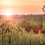 Haspengouw zicht arrangement Royal taste of wine Vesparoute