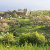 landschap Haspengouw arrangement tussen pot en pint Vesparoute