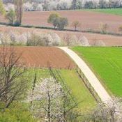 panorama weg arrangement in een notendop Vesparoute