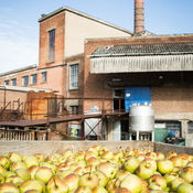 stroopfabriek arrangement stroop van Loon Vesparoute
