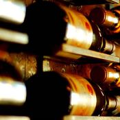 wijn Kitsberg arrangement van druif tot glas Vesparoute