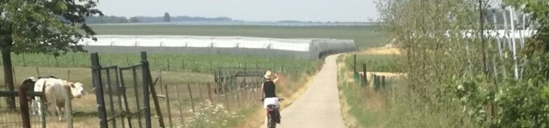 Heerlijk elektrisch fietsen