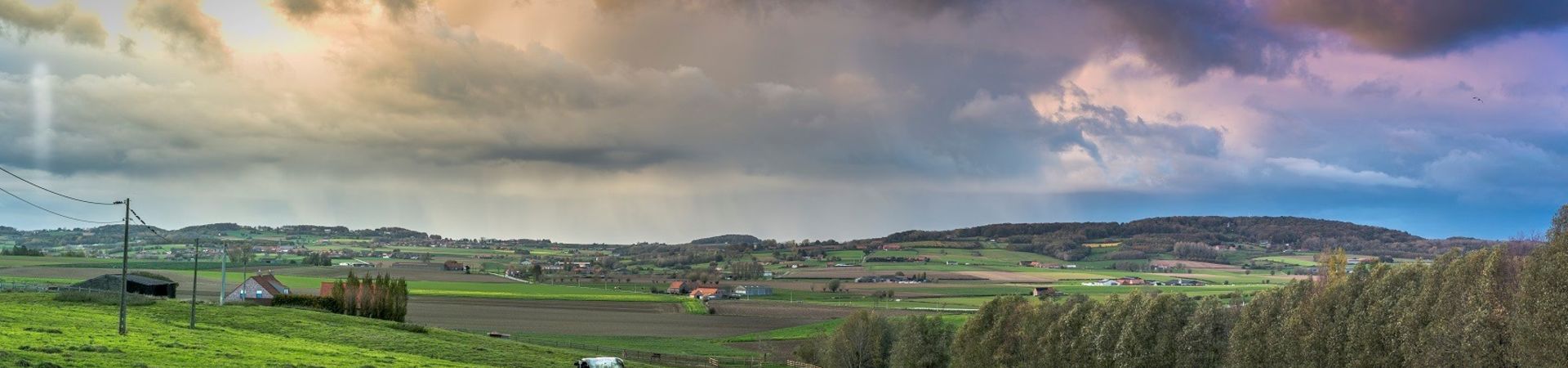 Ieper