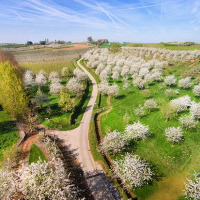 Sint Truiden