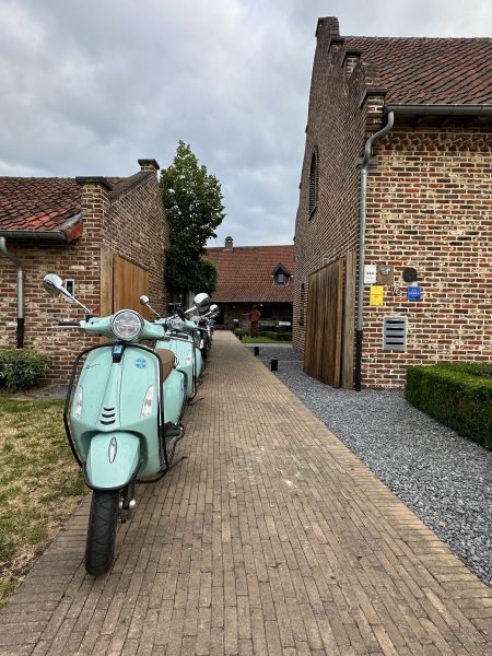 Kies één van onze voertuigen